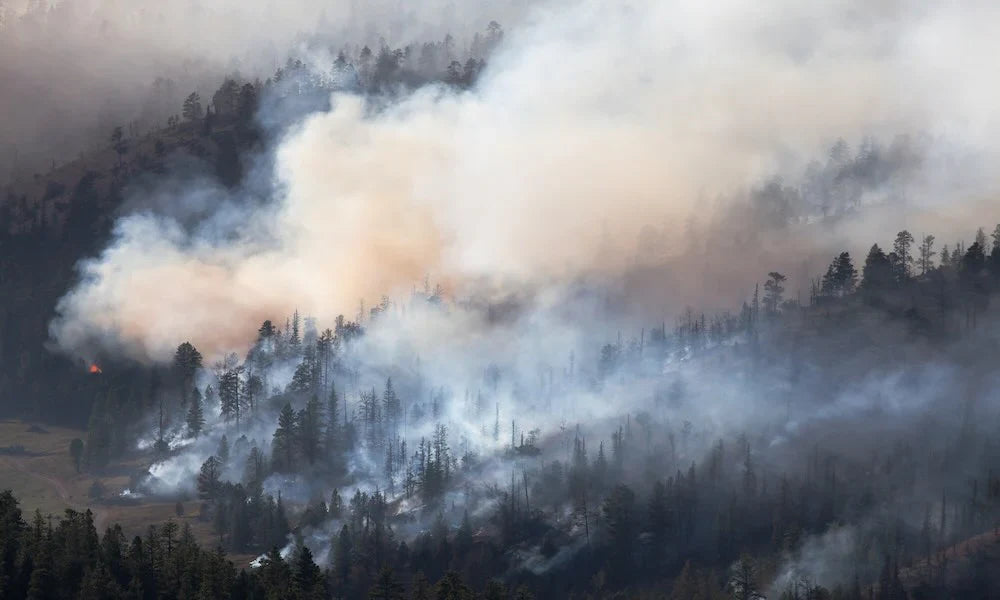 Mitigate Harmful Airborne Pathogens from Wildfire Smoke