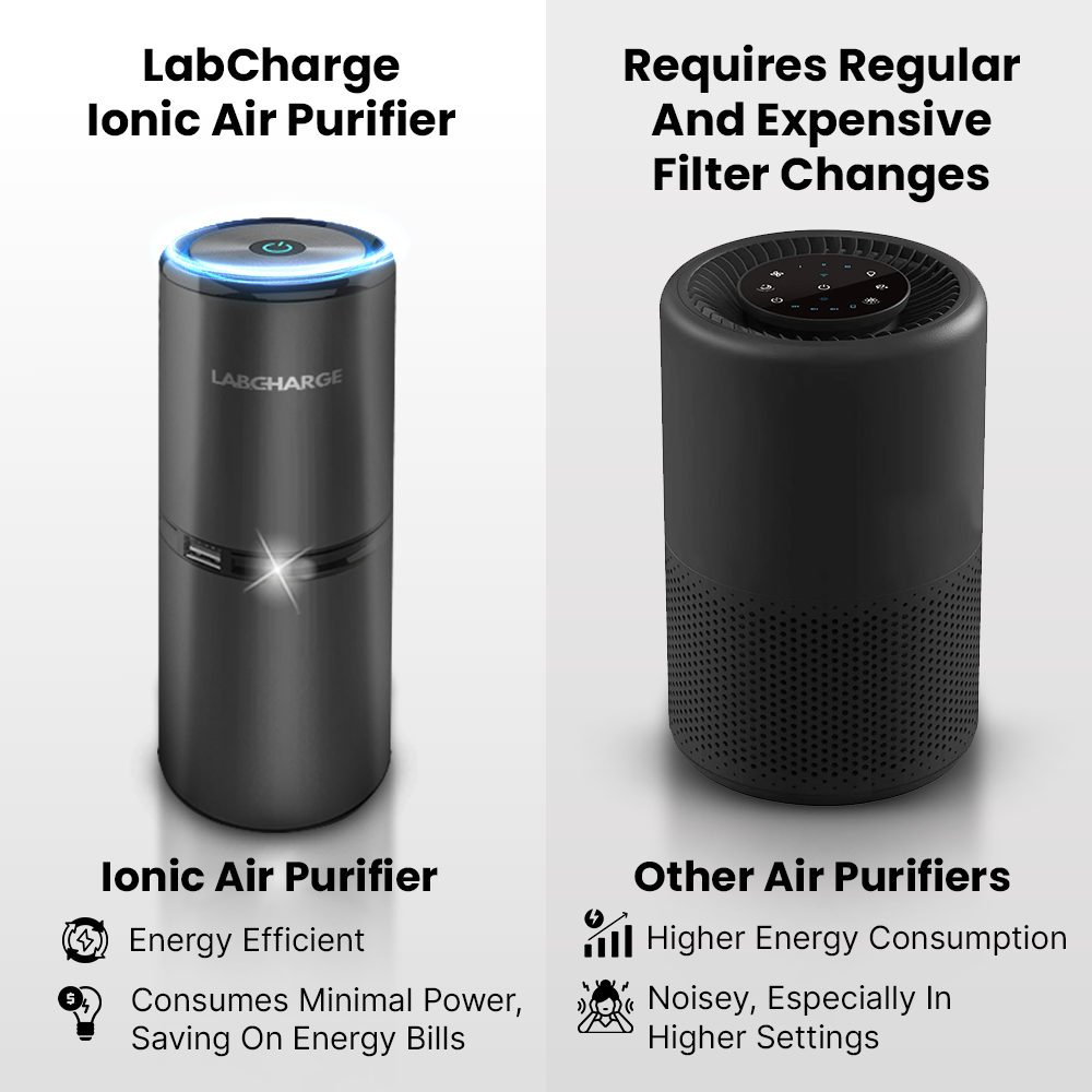 Ionic Air Purifier