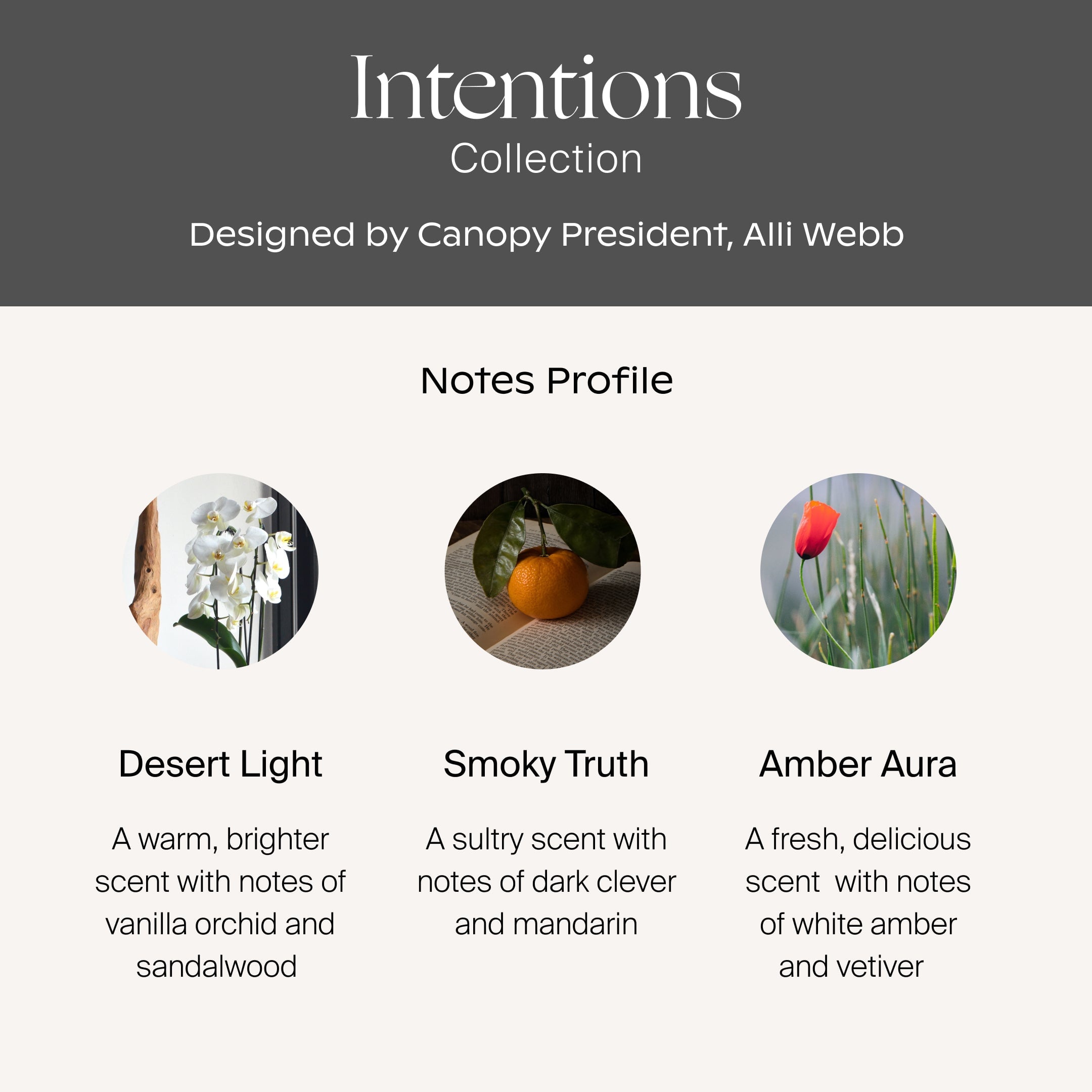 Canopy Intentions Aroma Kit