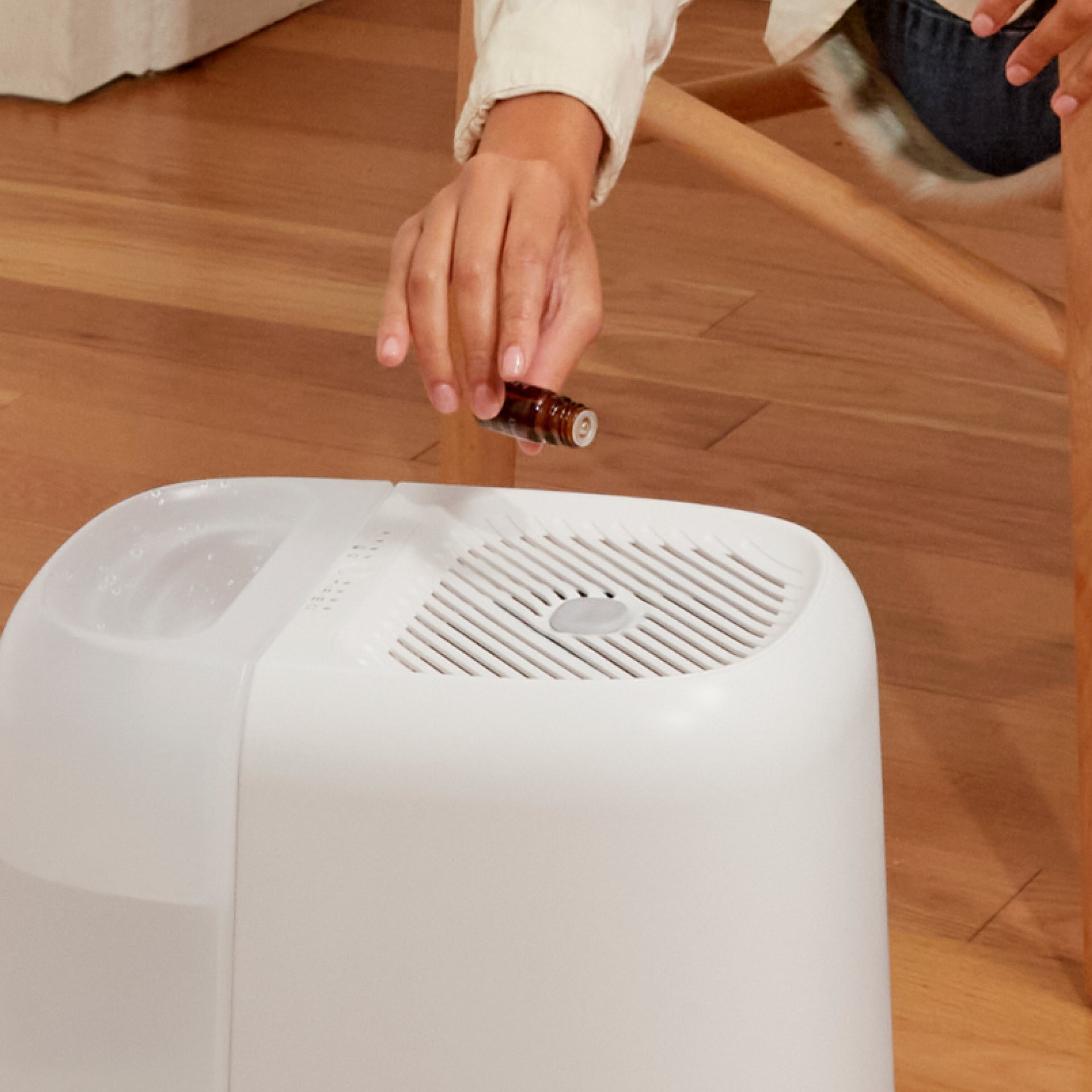 Canopy Large Room Humidifier