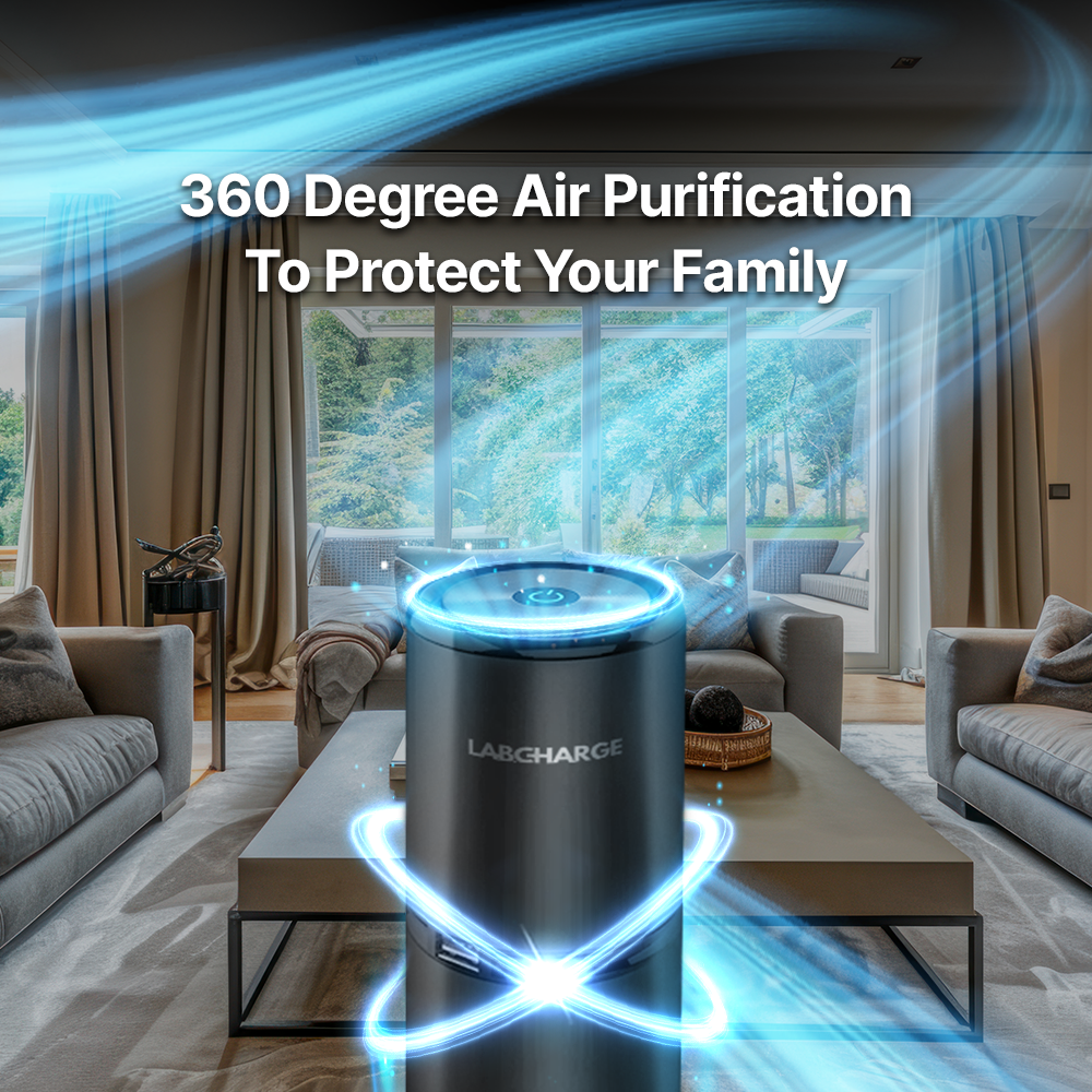 Ionic Air Purifier