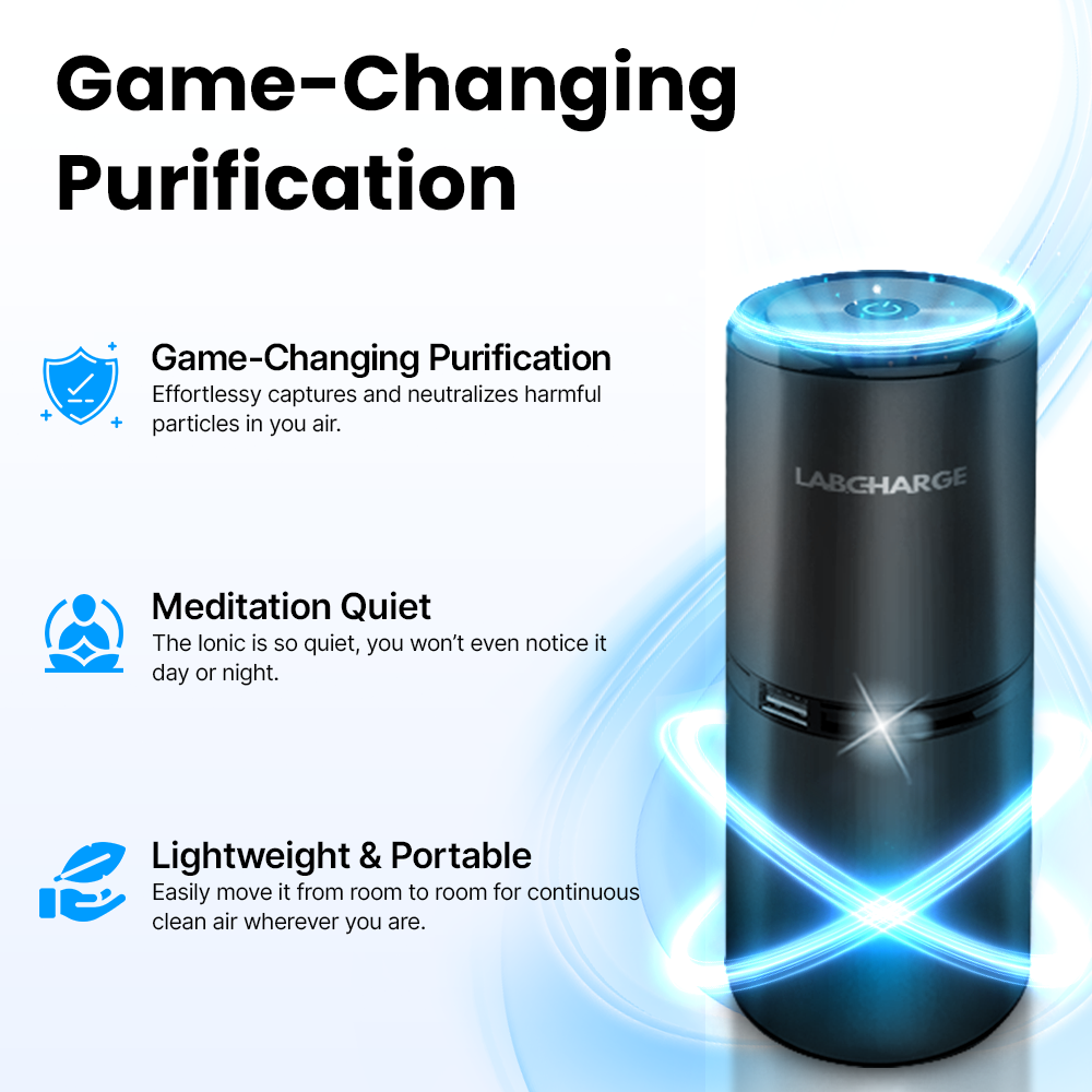 Ionic Air Purifier