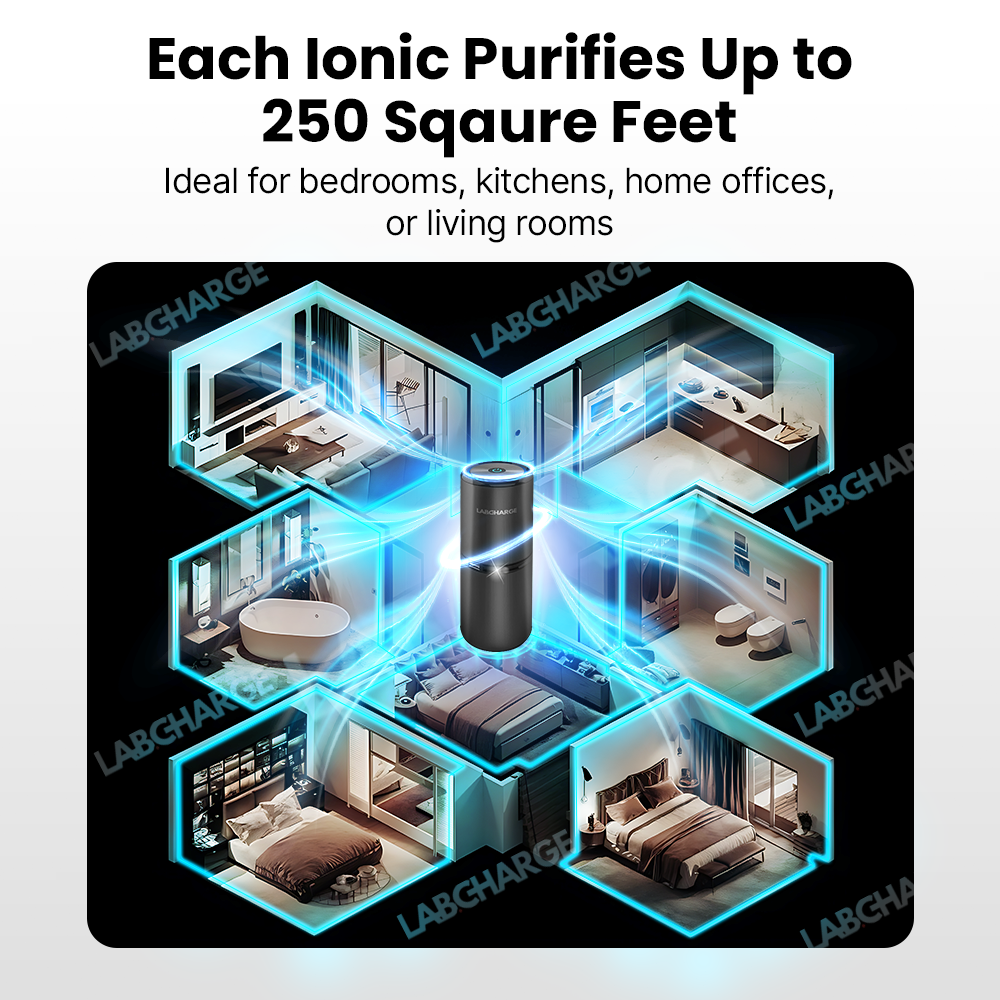 Ionic Air Purifier