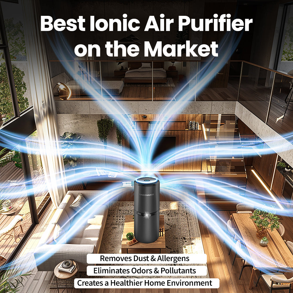 Ionic Air Purifier